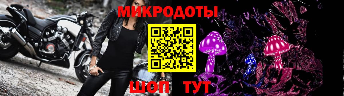 Галлюциногенные грибы ЛСД  Вход с VPN  где продают наркотики  Галлюциногенные грибы GOLDEN TEACHER  Зеленокумск 